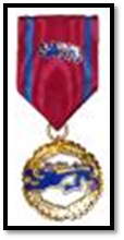 Медаль за спасение жизни