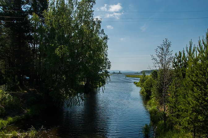 Ушковская канава. Выход в Черноисточниский пруд