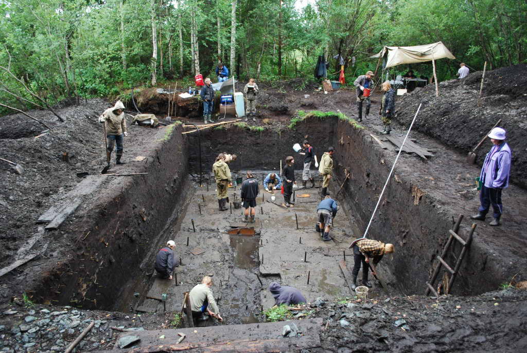 Раскопки на Горбуновском торфянике в 2010 г. 