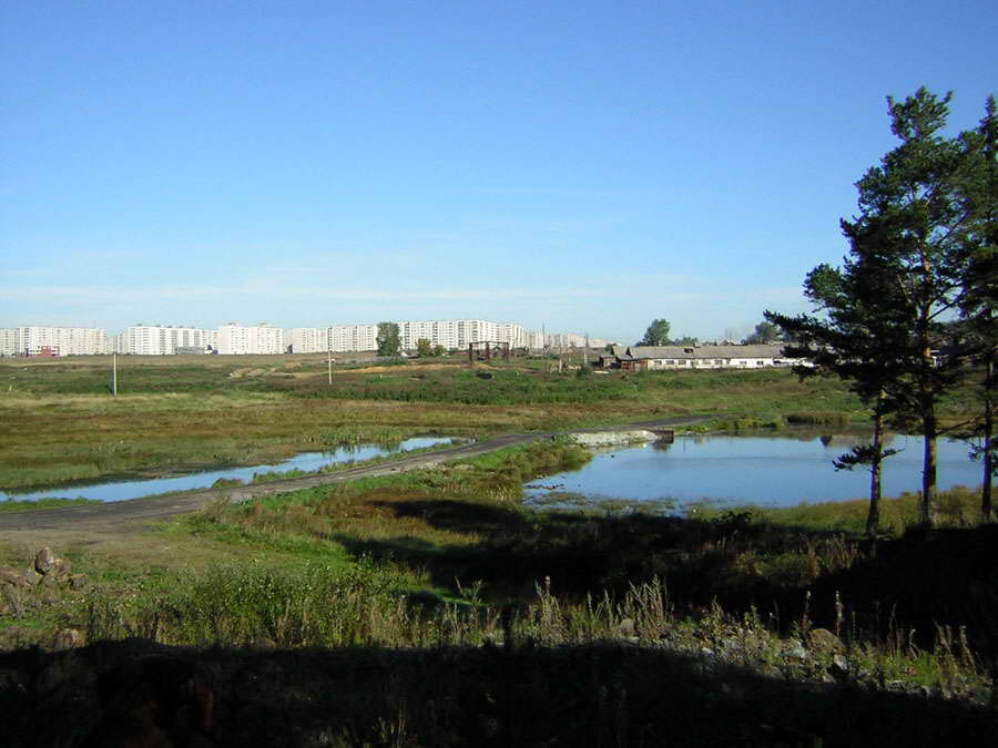 Вид на Гальяно-Горбуновский жилой массив с Муринского пруда (фото 2000-х гг.) 