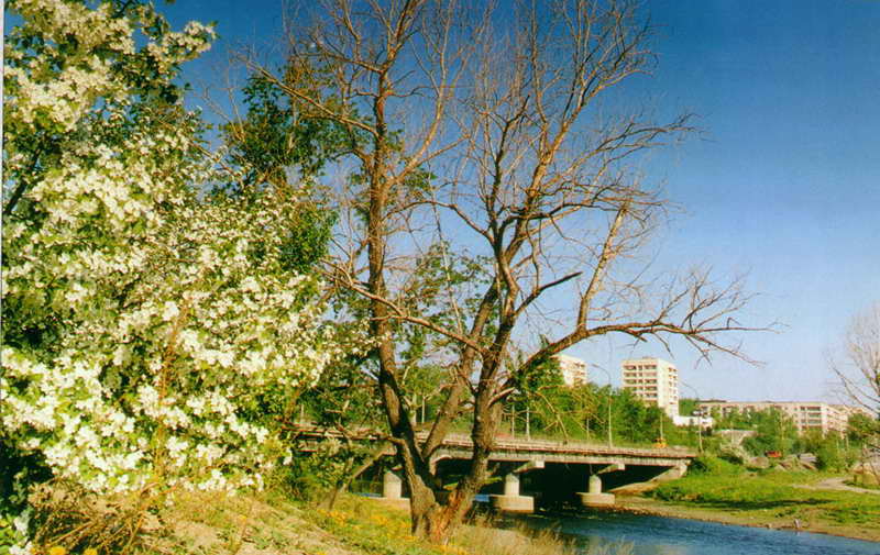 Мост на Выю через реку Тагил (вид на ул. Фрунзе)